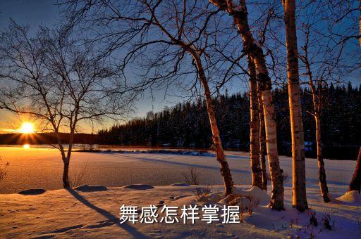 舞感怎样掌握