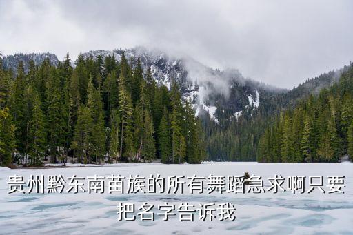 贵州黔东南苗族的所有舞蹈急求啊只要把名字告诉我