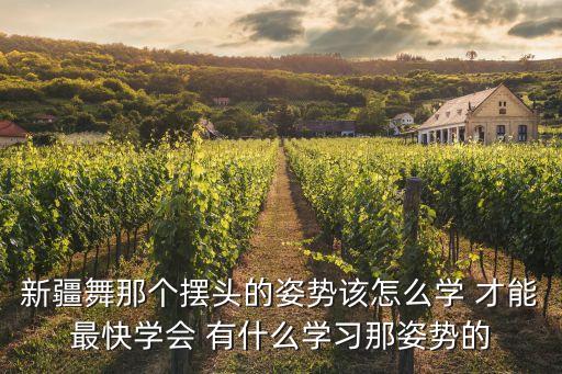新疆舞那个摆头的姿势该怎么学 才能最快学会 有什么学习那姿势的