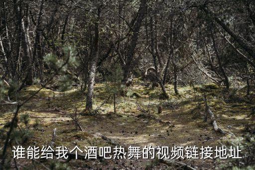 酒吧视频素材下载，谁能给我个酒吧热舞的视频链接地址
