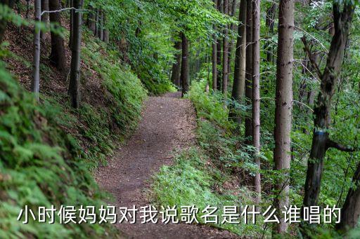 跳到北京是谁唱的歌是什么歌曲，想把我唱给你听 谁是原唱