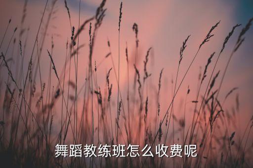 舞蹈教练班怎么收费呢