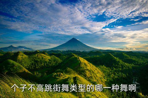不高的男生跳什么街舞，个子不高跳街舞类型的哪一种舞啊