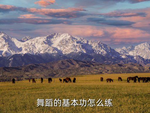舞蹈的基本功怎么练