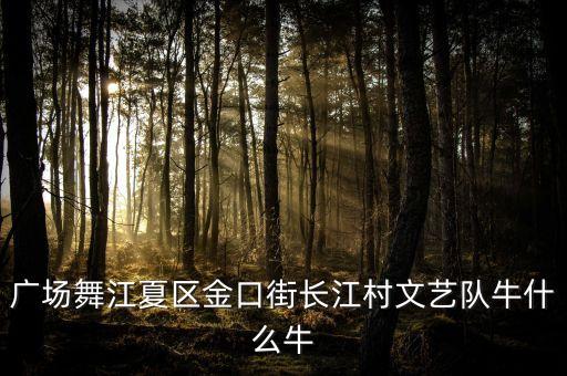 广场舞江夏区金口街长江村文艺队牛什么牛