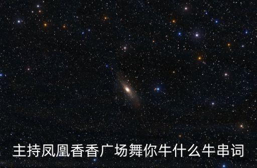 凤凰广场舞牛什么，ok下载舞曲你牛什么牛