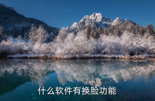 能用自己视频的换脸软件，高手推荐一款易用的换脸软件呗谢电脑手机版都可以