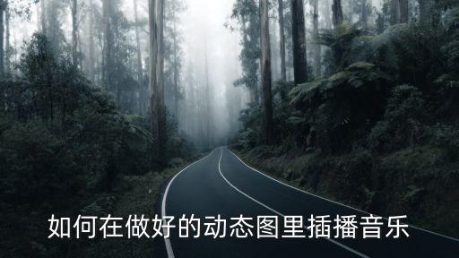 如何在做好的动态图里插播音乐