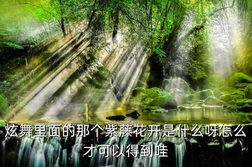 炫舞里面的那个紫藤花开是什么呀怎么才可以得到哇