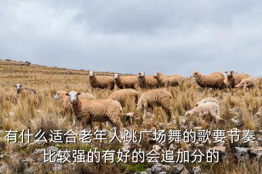 有什么适合老年人跳广场舞的歌要节奏比较强的有好的会追加分的