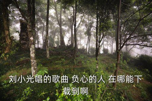 负心的人在哪里di版，刘小光唱的歌曲 负心的人 在哪能下载到啊