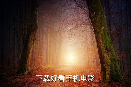 好看视频安装下载，下载好看手机电影