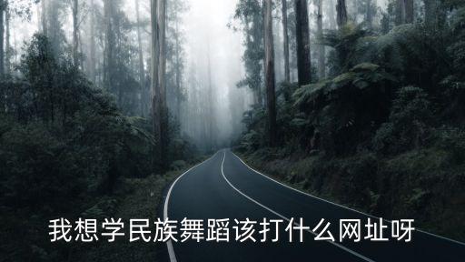 民族舞网站有哪些，哪里有简单的民族舞表演网址