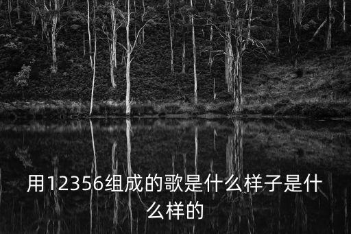 用12356组成的歌是什么样子是什么样的