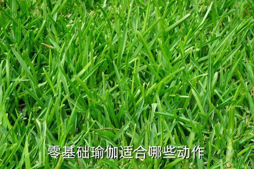 瑜伽基本功动作26个，最经典的瑜伽动作