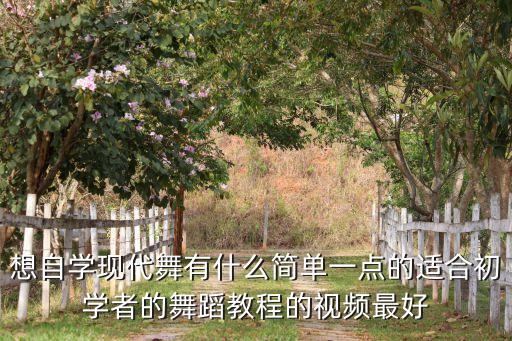年轻的广场舞视频教程，适合年轻人的节奏感强的广场舞哪里有教学