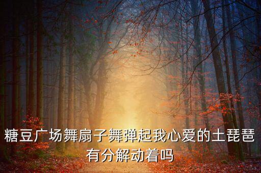 糖豆广场舞扇子舞弹起我心爱的土琵琶有分解动着吗