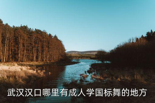 武汉汉口哪里有成人学国标舞的地方