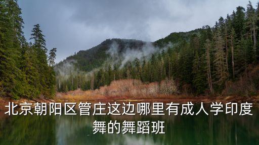 北京朝阳区管庄这边哪里有成人学印度舞的舞蹈班