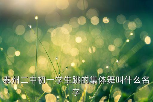 泰州二中初一学生跳的集体舞叫什么名字