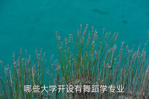 哪些大学开设有舞蹈学专业