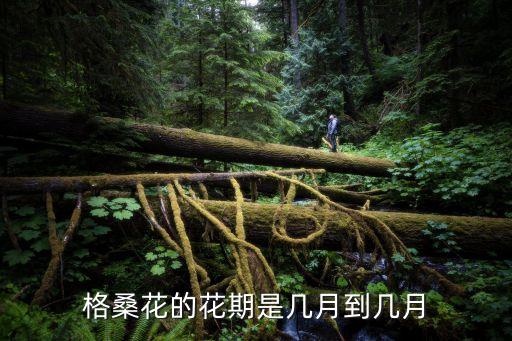 格桑花的花期是几月到几月
