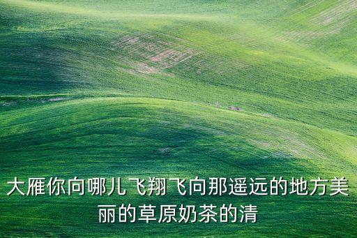 大雁你向哪儿飞翔飞向那遥远的地方美丽的草原奶茶的清
