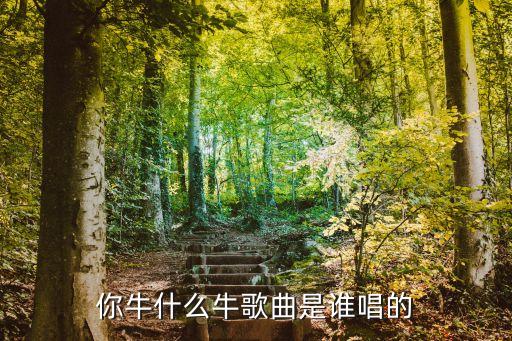 你牛什么牛歌曲是谁唱的