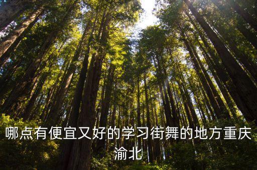 哪点有便宜又好的学习街舞的地方重庆渝北