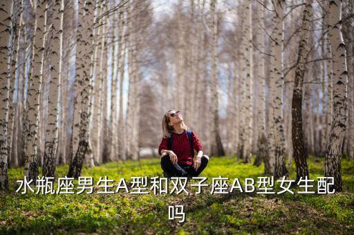 水瓶座男生A型和双子座AB型女生配吗