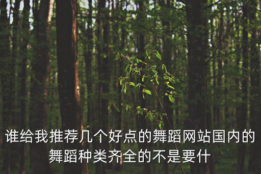 中国有多少个舞蹈网，中国舞蹈网站有哪些那个嘴专业有没有舞蹈类的门户网站找点好