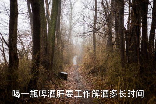 喝一瓶啤酒多久分解，喝酒后多久可以在体内分解