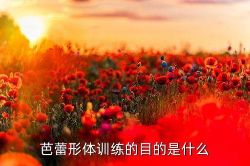 芭蕾形体训练的目的是什么