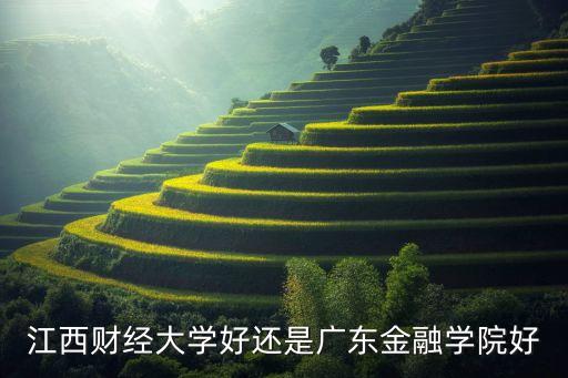江西财经大学好还是广东金融学院好