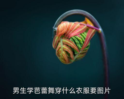 男生学芭蕾舞穿什么衣服要图片