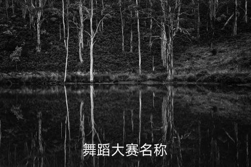 2017有什么舞蹈大赛，舞蹈大赛名称