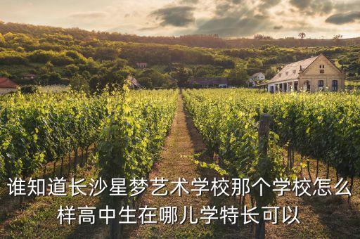 谁知道长沙星梦艺术学校那个学校怎么样高中生在哪儿学特长可以