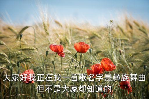 大家好我正在找一首歌名字是彝族舞曲但不是大家都知道的