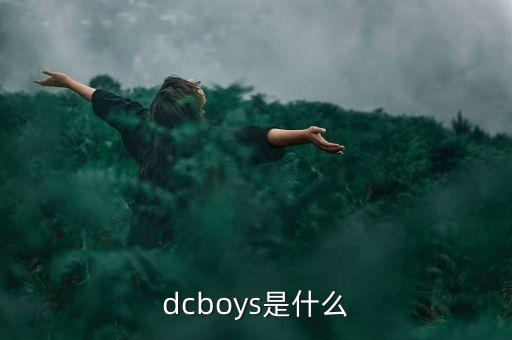 dcboys是什么
