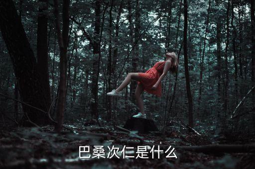 巴桑次仁是什么