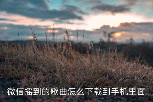 微信摇一摇的歌曲怎么下载，我想在微信上下载歌曲怎么下载呀谢谢急