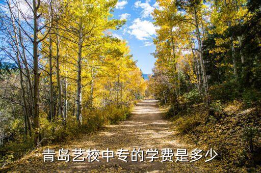 青岛艺校中专的学费是多少