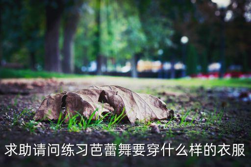 求助请问练习芭蕾舞要穿什么样的衣服