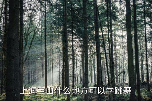 上海宝山什么地方可以学跳舞