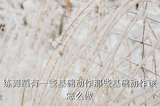 练舞蹈有一些基础动作那些基础动作该怎么做
