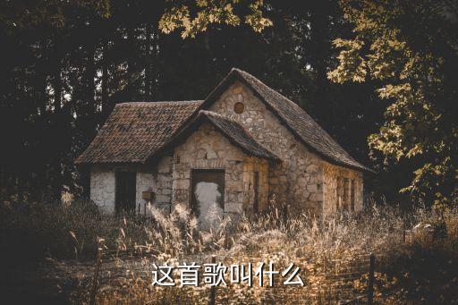 这首歌叫什么