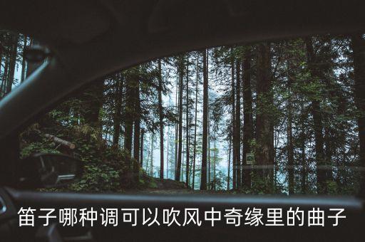 笛子哪种调可以吹风中奇缘里的曲子