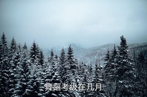 舞蹈考级在几月