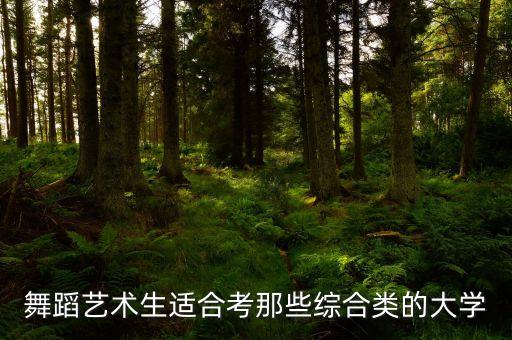 舞蹈艺术生适合考那些综合类的大学
