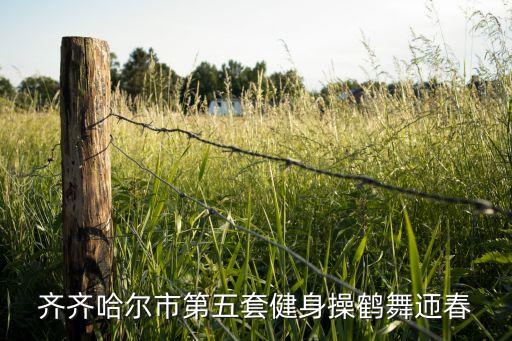 齐齐哈尔市第五套健身操鹤舞迊春
